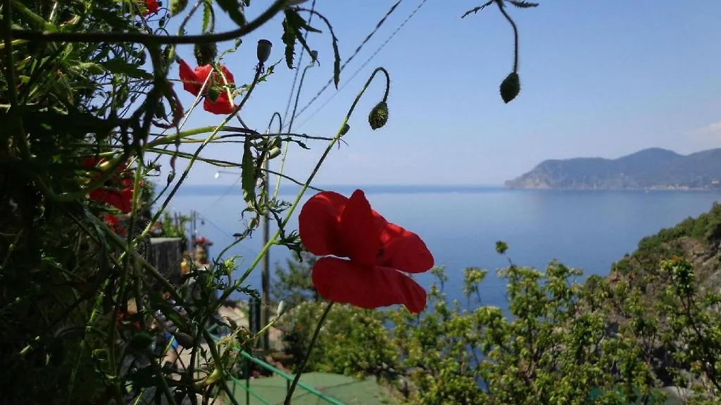 L' Agave Cinque Terre Apartment Corniglia